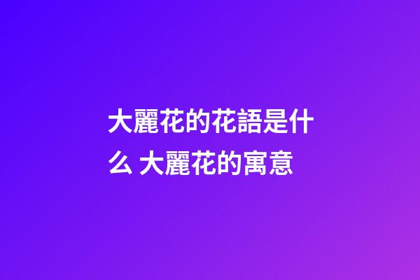 大麗花的花語是什么 大麗花的寓意